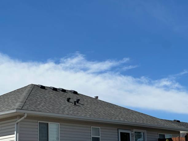 Trusted Winnebago, MN Roofing service Experts